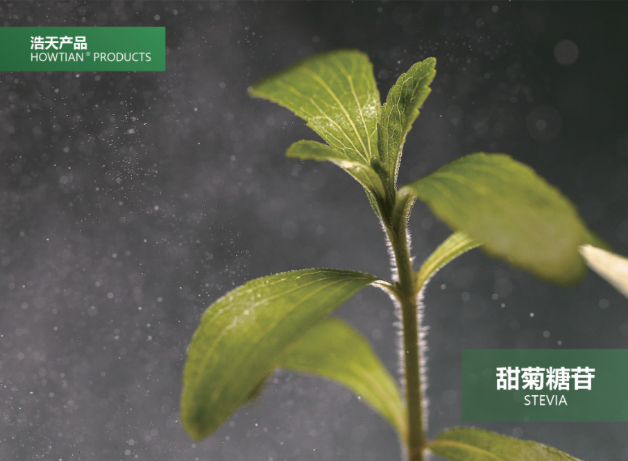 甜菊糖